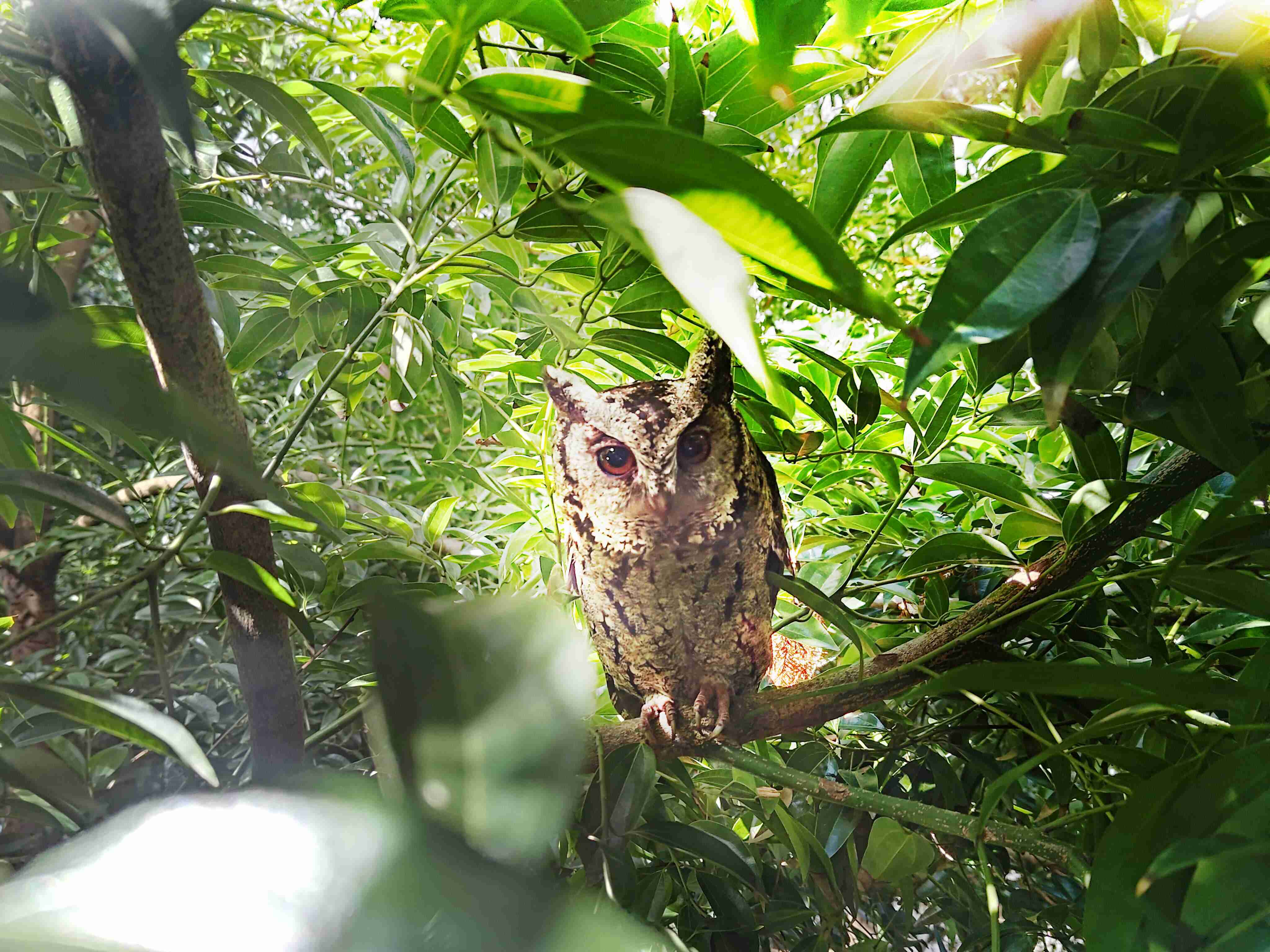 z6尊龙致力提倡净零绿生活，，16年以来在全球各厂区植树逾百万棵，，造就各厂区树木蔚然成林，，，犹如森林工厂，，成为许多生物的栖息地